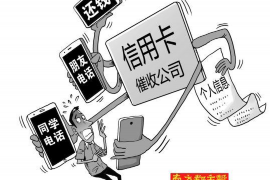 金昌专业催债公司的市场需求和前景分析